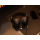KRUX Crave Pro Wireless - 1310401 - zdjęcie 9